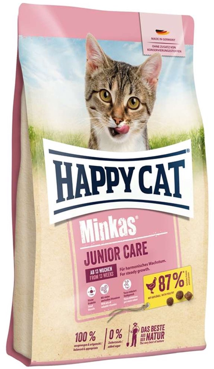 Gatto felice