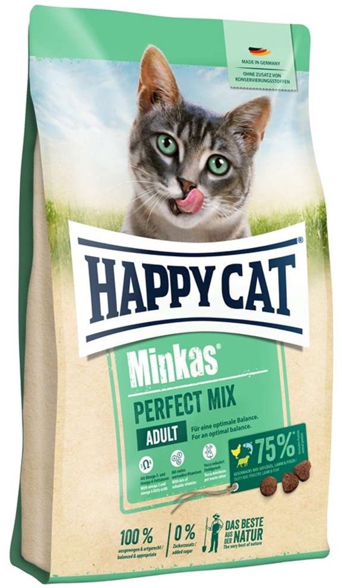 Gatto felice