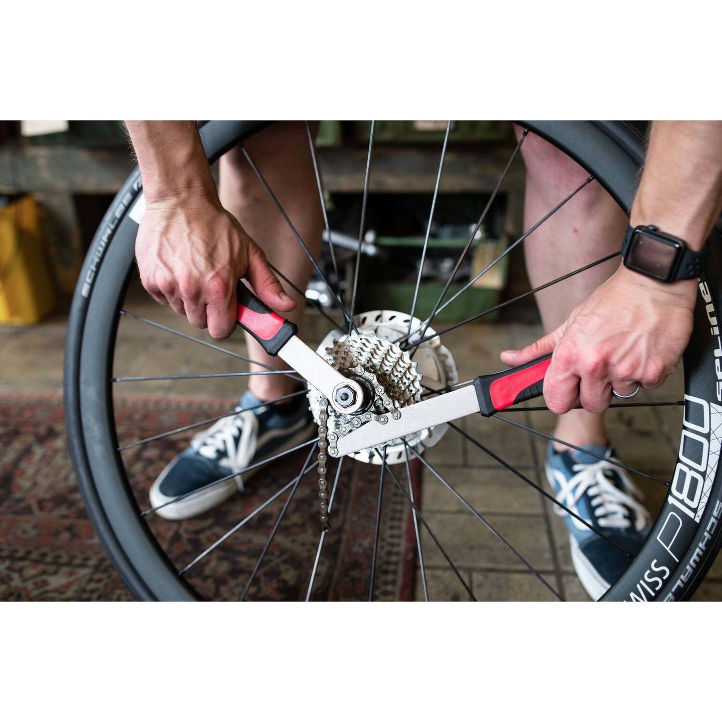 Trivio - attrezzi per bicicletta, estrattore pignone, cassetta ruota libera