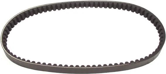 Gates V-String Standard V-Belts 18x799 mm