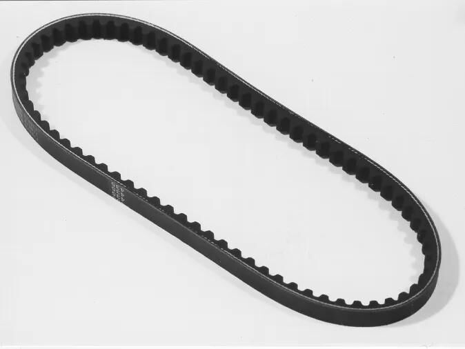 Malossi V-Belt fortalece Verstärkt