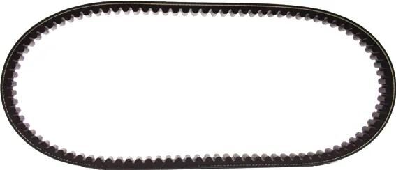 Polini v-snaar verstärkt v-belts verst. 22x834 mm