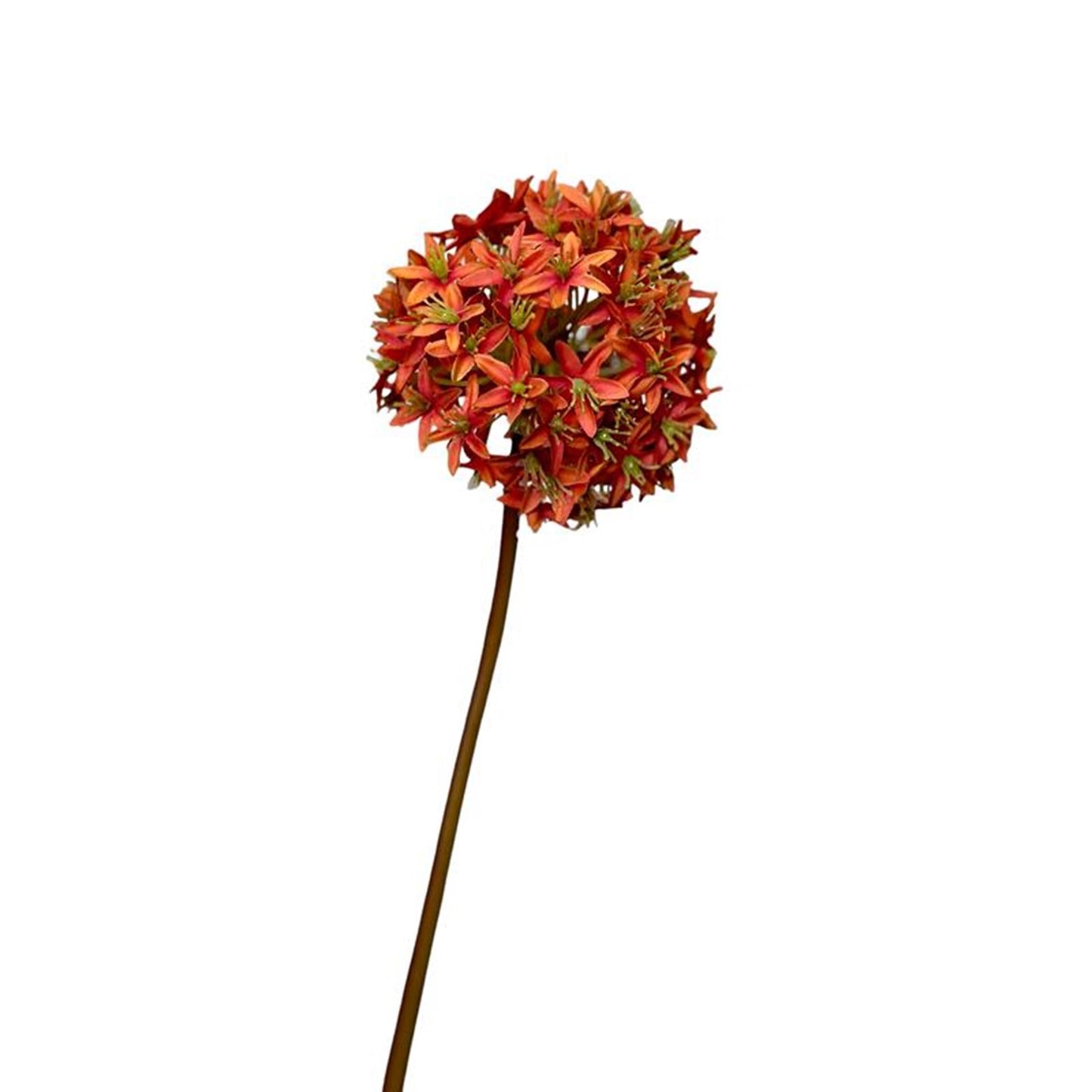 Roberts collection flor artificial allium bulbo 60cm naranja