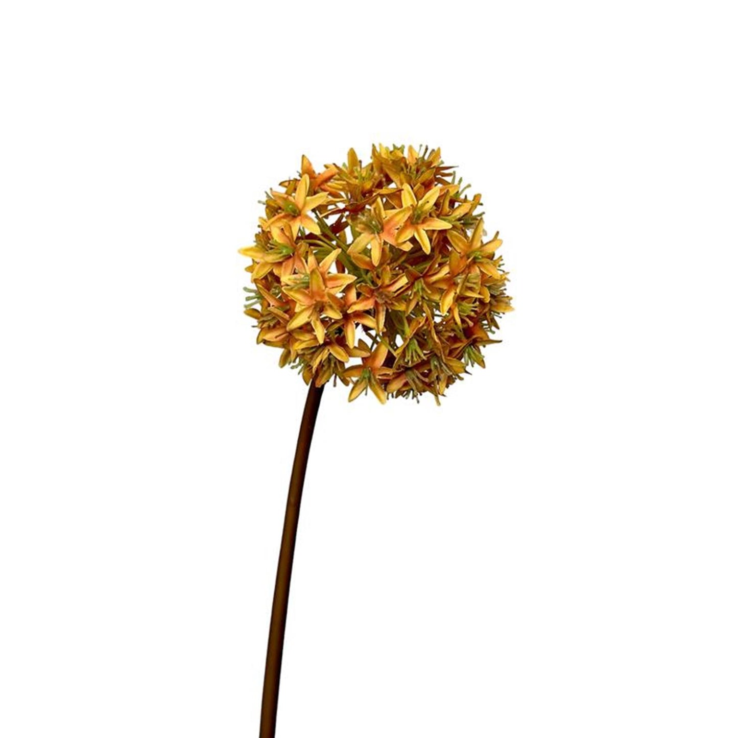 Bulbo di fiore artificiale allium della collezione Roberts da 60 cm giallo ocra