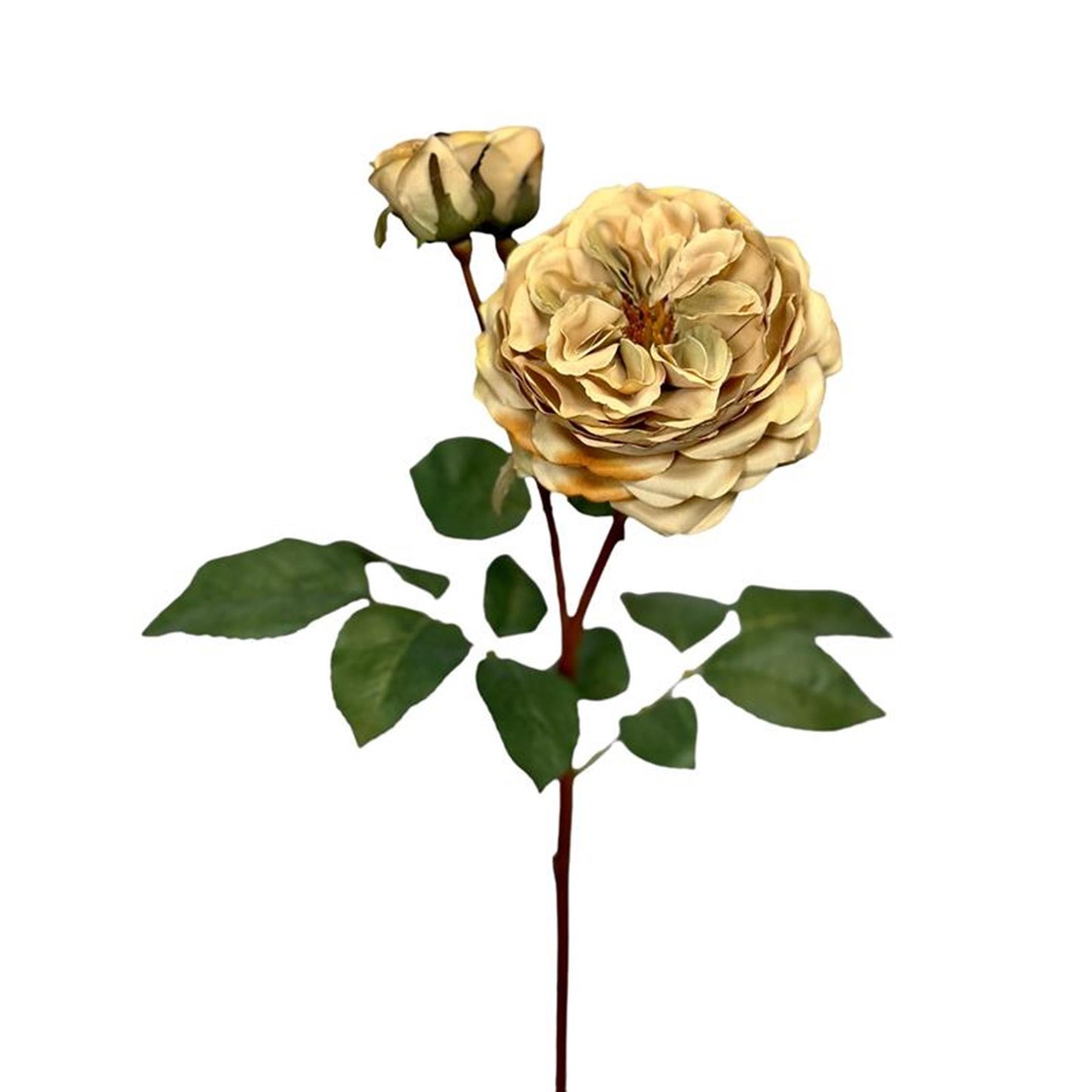 Collezione Roberts fiore artificiale rosa 55 cm crema