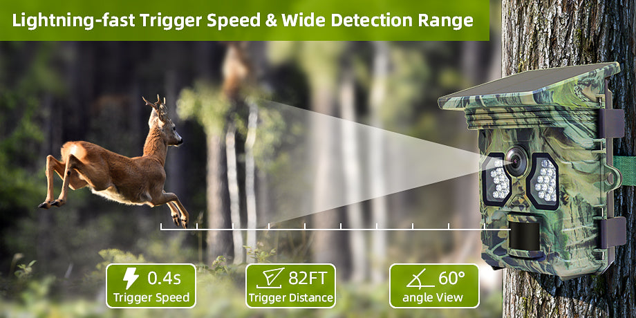 Camera selvatica da 4K Solar 4K con attrezzatura stealth