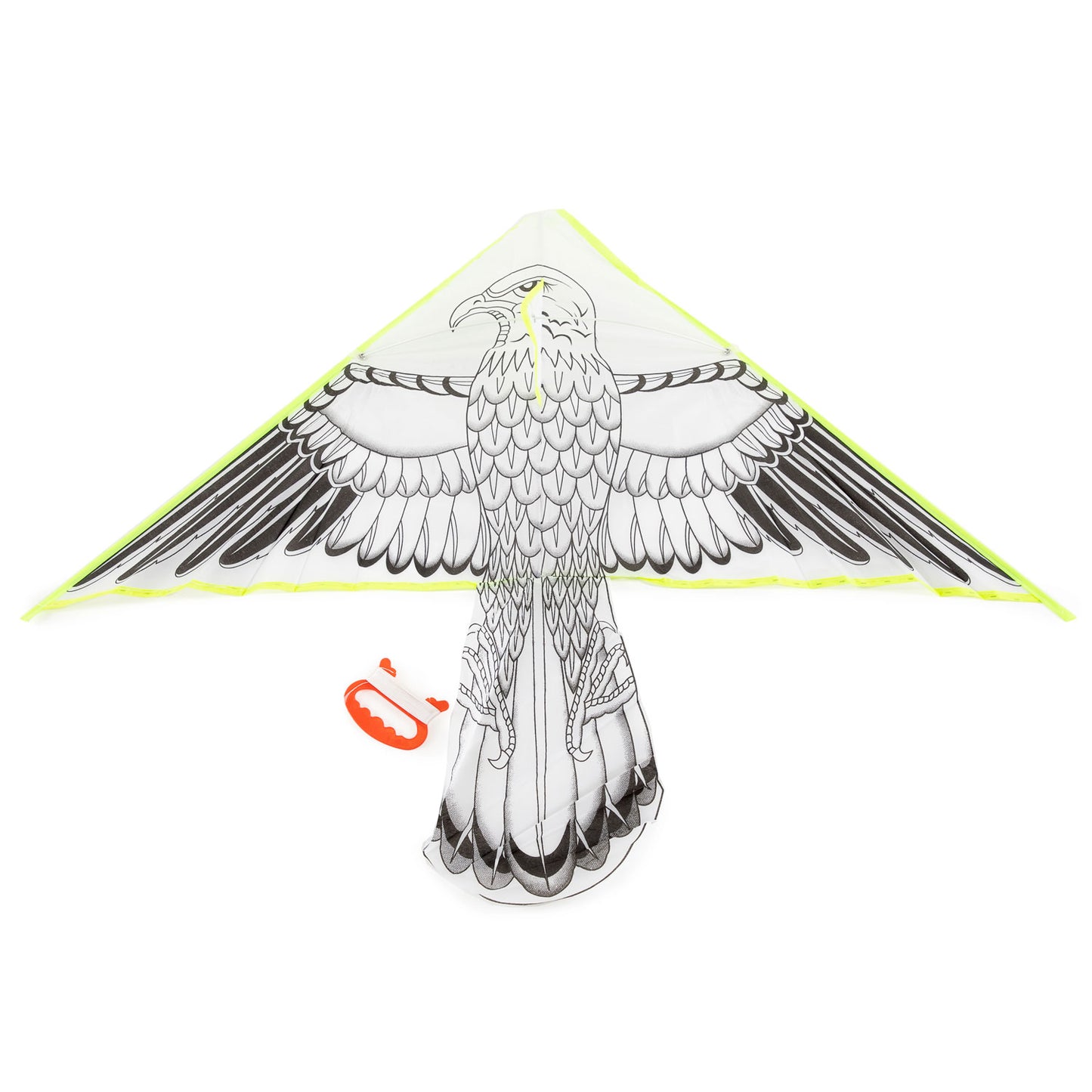 Colora il tuo aquilone: l'aquila