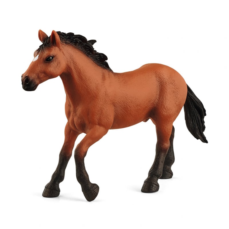 Horse Appaloosa Hengst 72152
