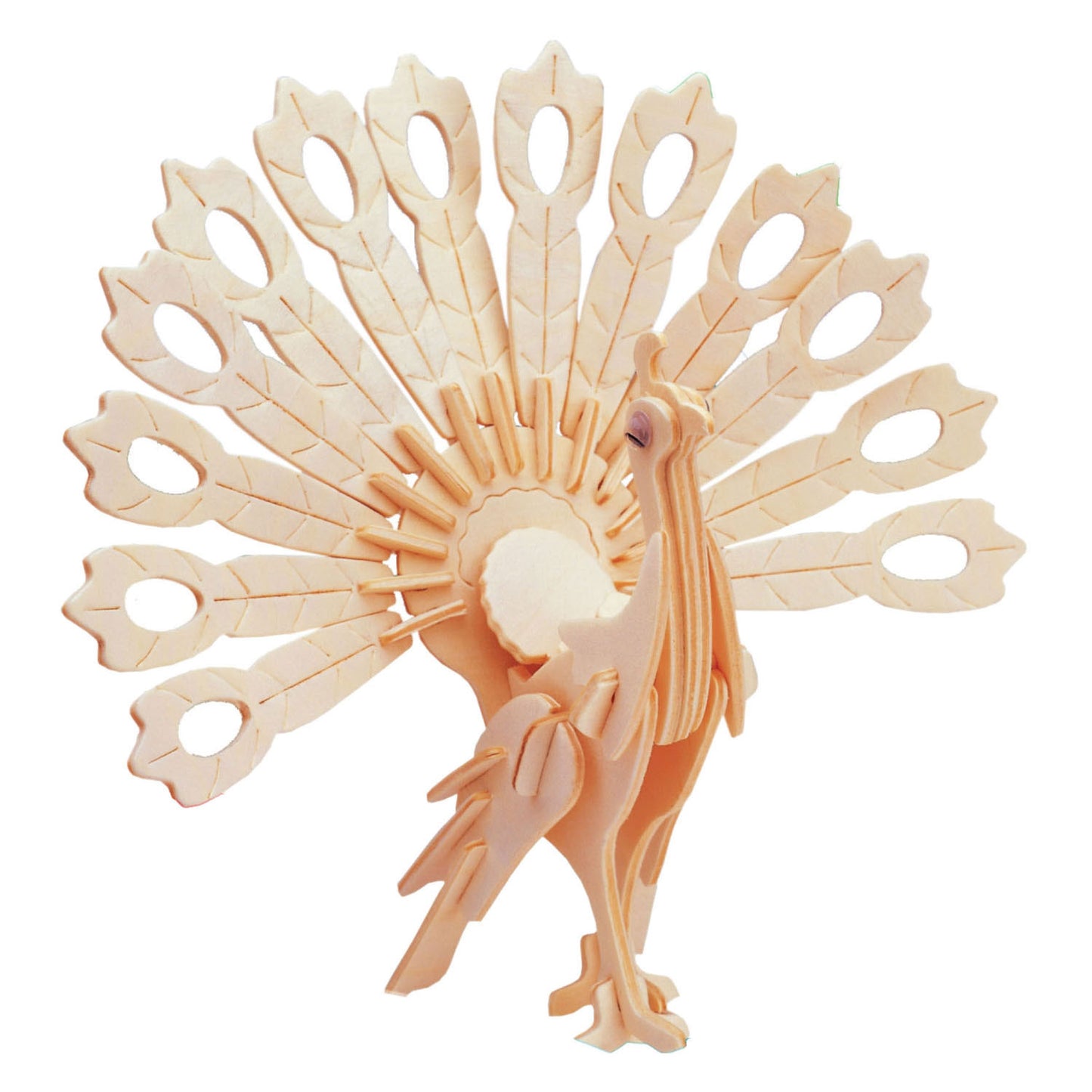 Kit di costruzione in legno pavone