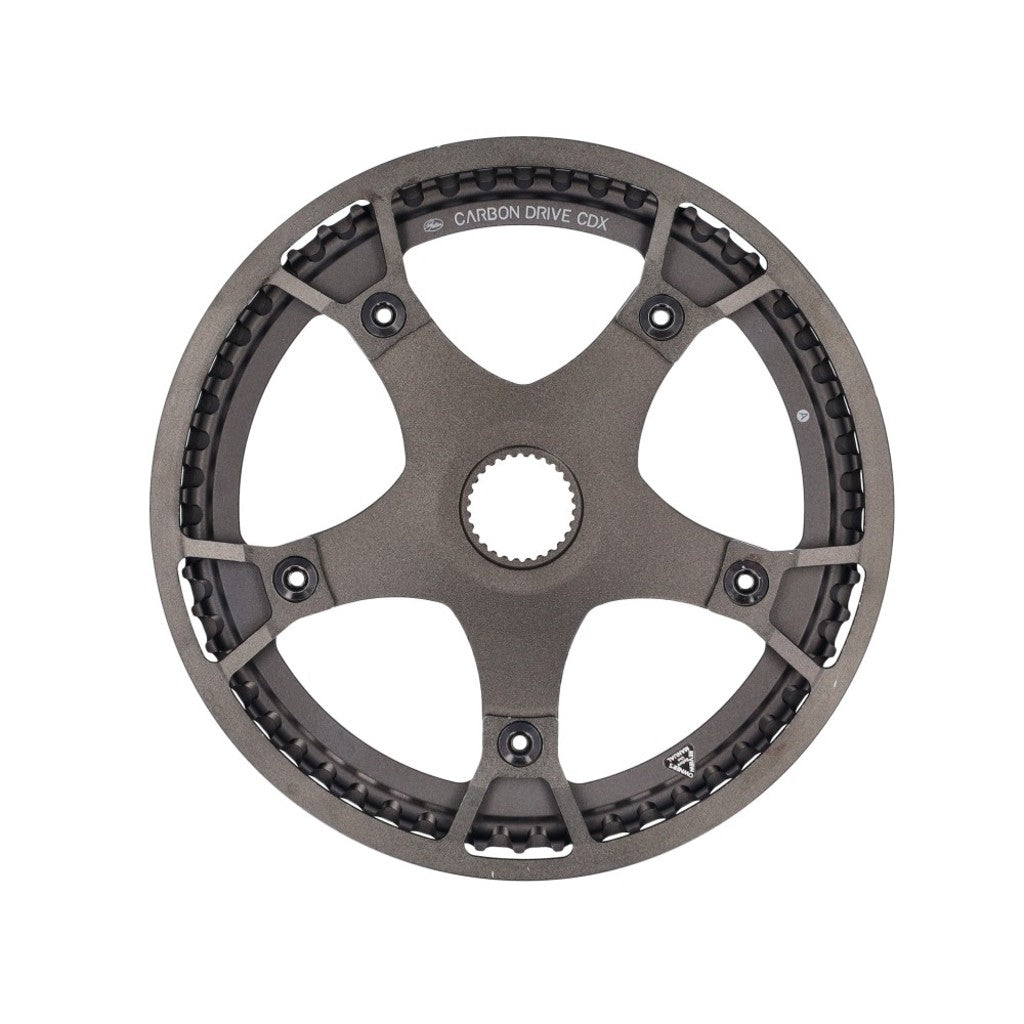 Pignone Gates in carbonio trasmissione cdx