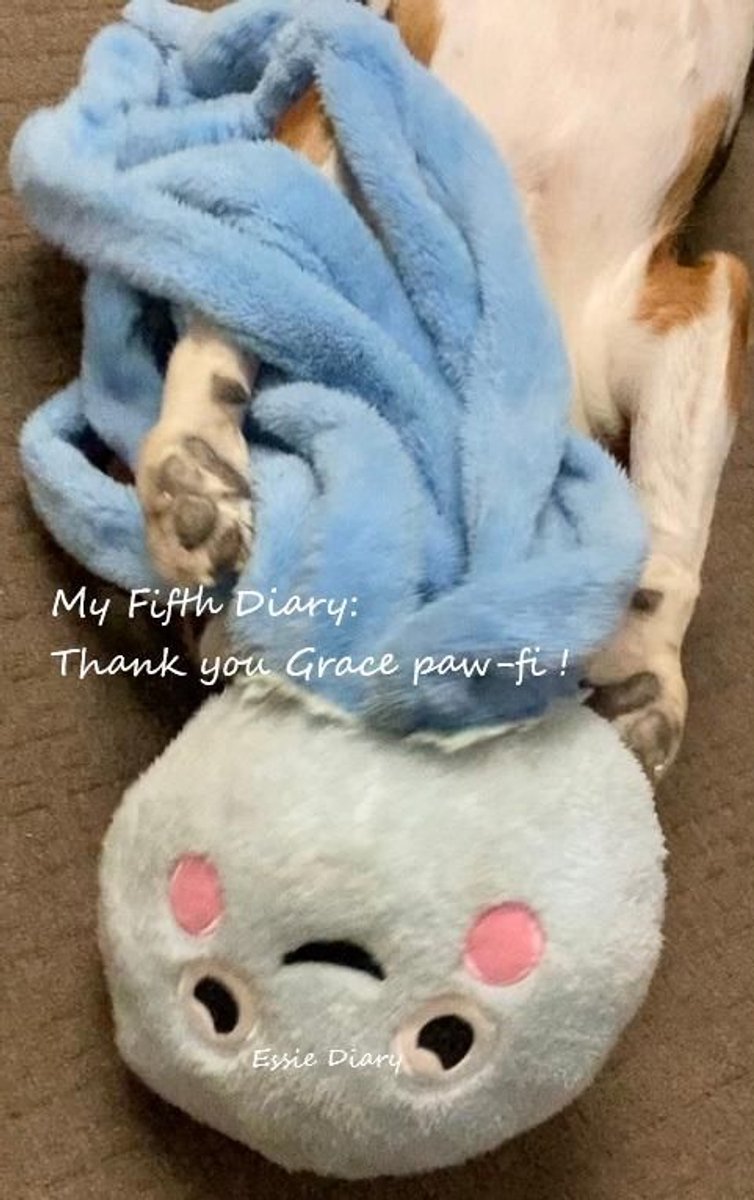 My fifth diary: thank you grace paw-fi!