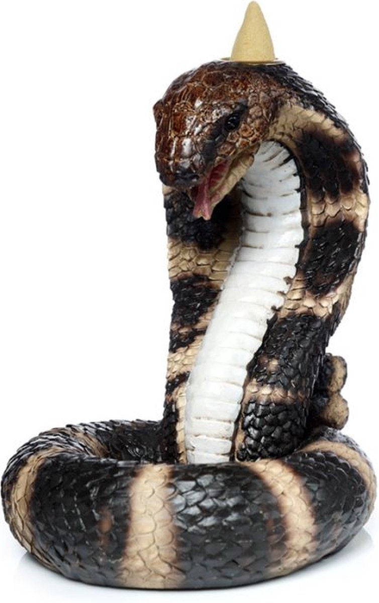 Soporte de incienso con manguera de la manguera de cobra enrollada