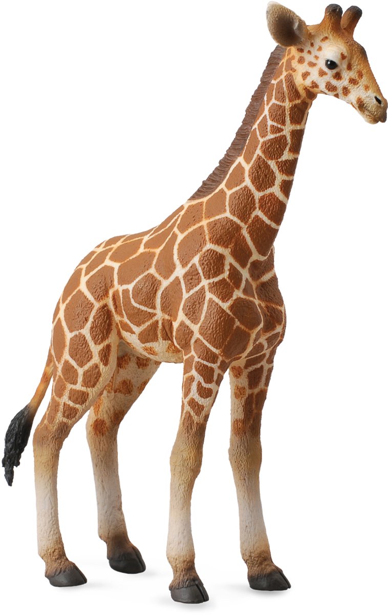 Statuetta Collecta - vitello giraffa - (l) - animali selvatici - dipinta a mano - miniatura