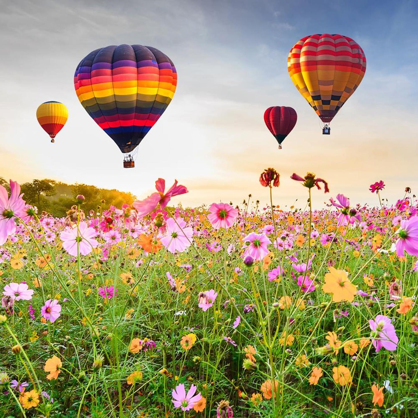 Mongolfiere in tela da esterno della collezione Anna 78x78 cm