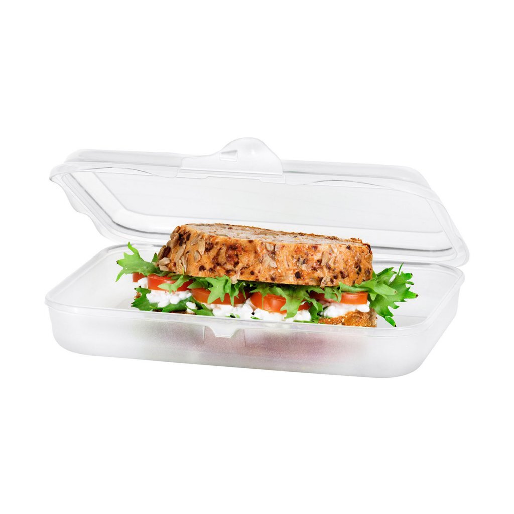 Rotho Fun Lunchbox 0.45L trasparente