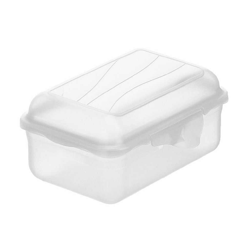 Rotho Fun Lunchbox 0.4L transparente