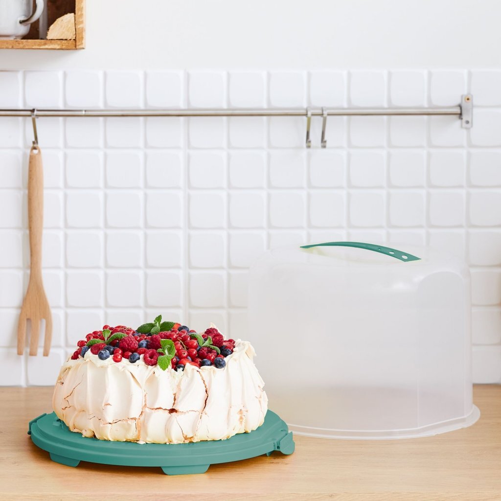 Rotho Rotho Fresh Cake Box XL 35.5x34.5x26 cm Misteloe Green trasparente