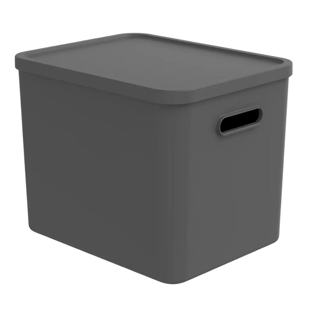 Rotho albula multibox 29,5x29x37 cm 27l antracite