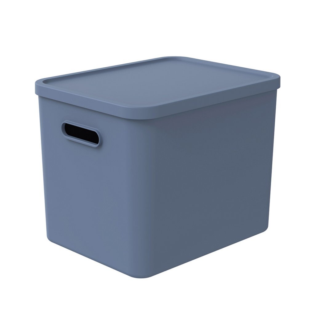 Rotho albula multibox 29,5x29x37 cm 27l orizzonte blu