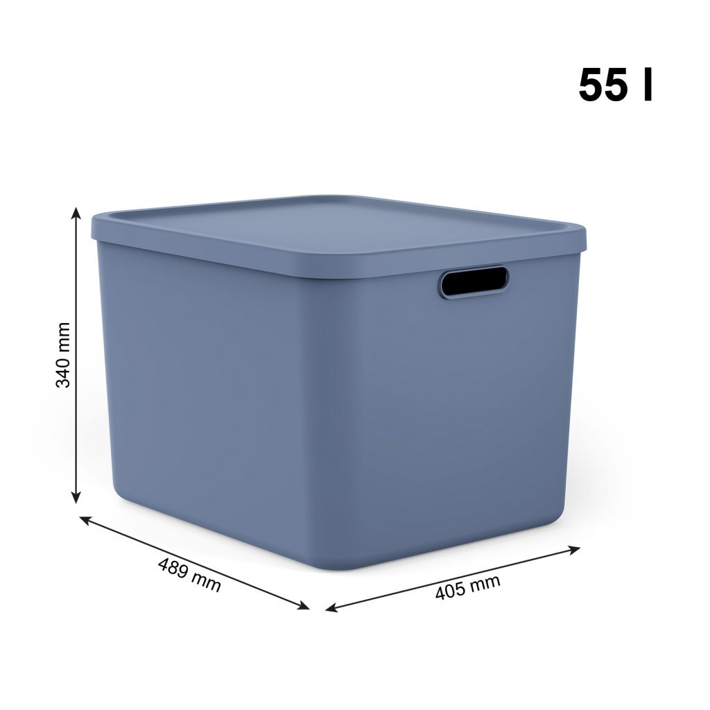 Rotho albula multibox 55l blu
