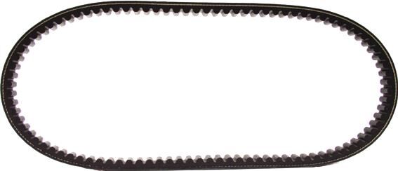 Malossi V-Belt fortalece Verstärkt