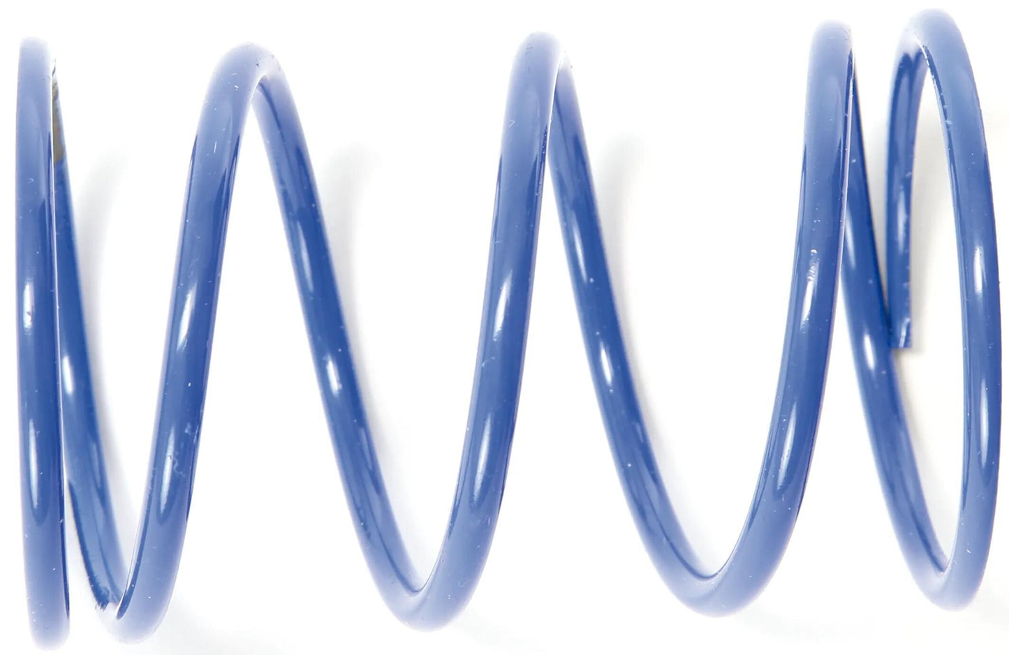 Polini molla compressione frizione contropressione spri (molla blu)