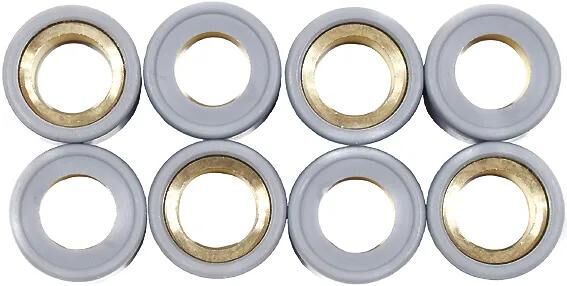Prossimamente set nucleo rulli con peso variatore rms 20x12 mm, 13,5 gr, 8 pz.