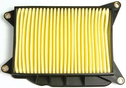 Filtro dell'aria Hiflofiltro HFA-4406