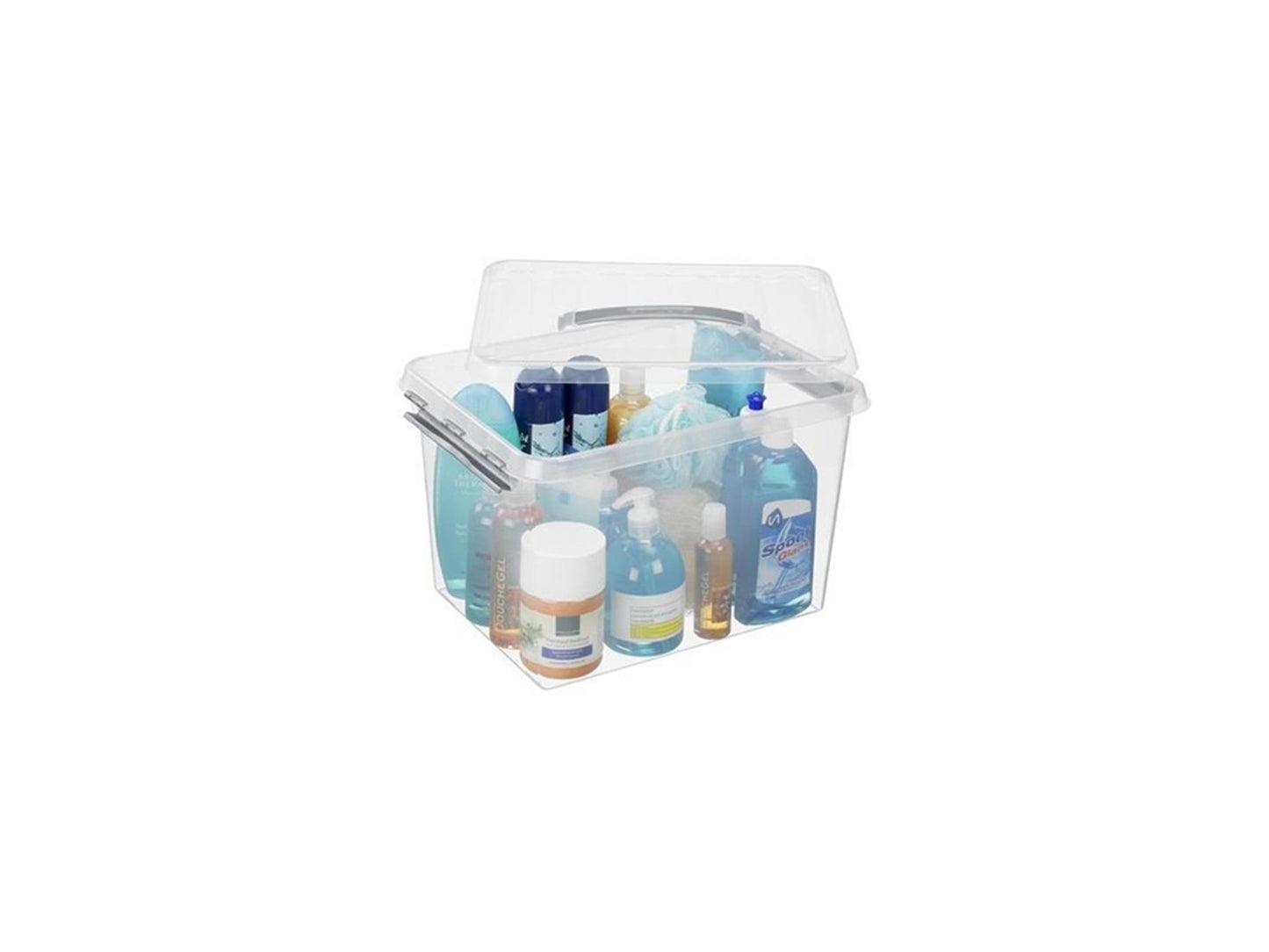 Caja de almacenamiento de línea Q-Line 22 L transparente