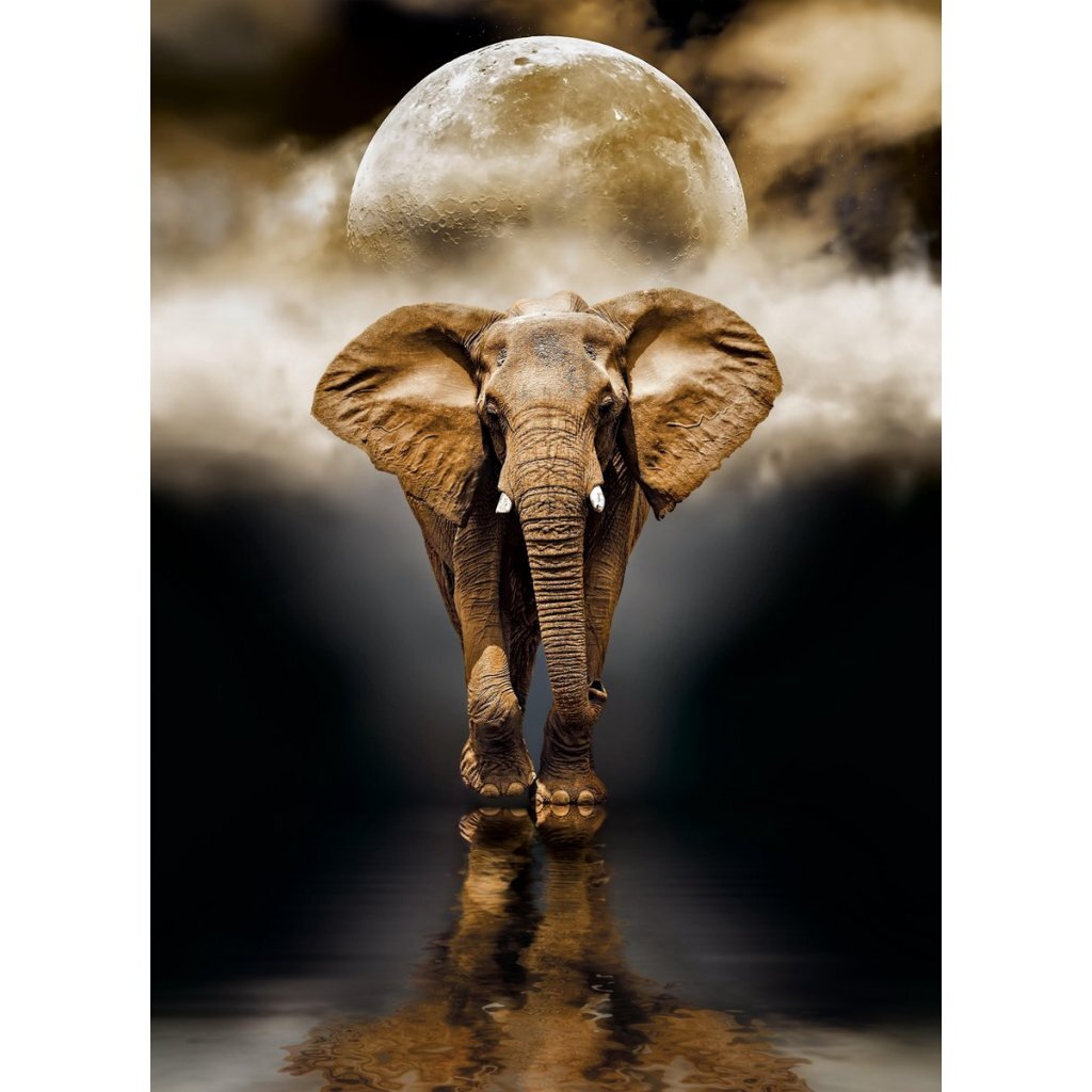 Clementoni high quality collection puzzle 1000 pieces different versions