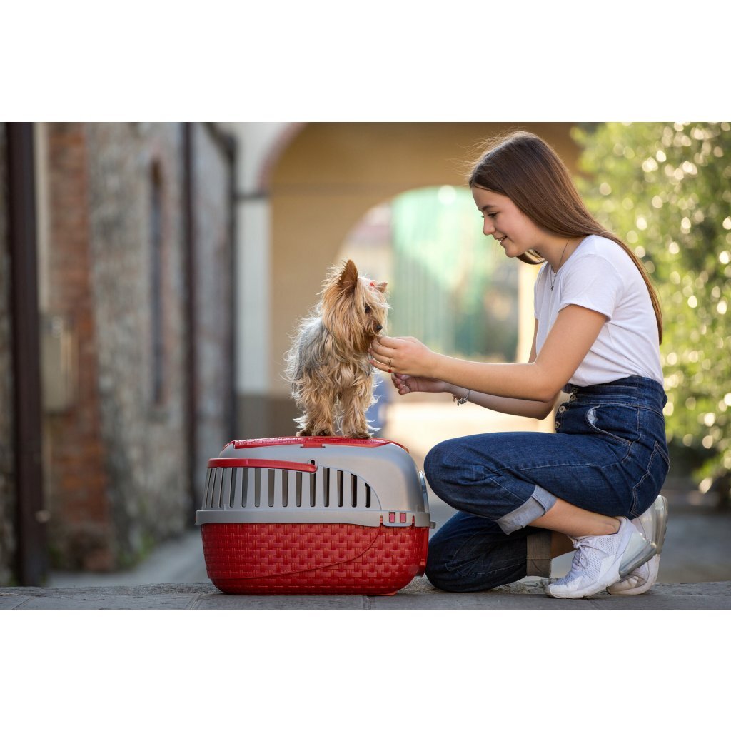 Bama Pet Transportbox 59x38x37 cm Silver rosso