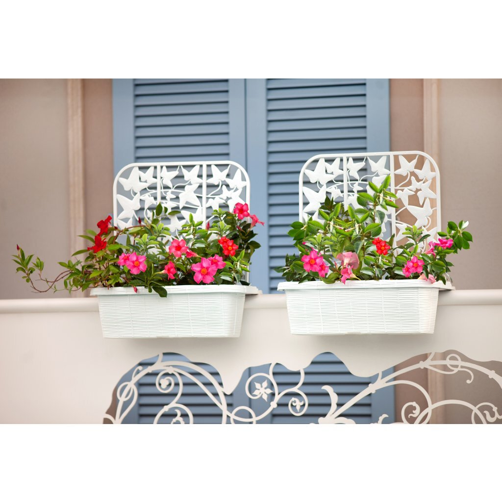 Bama Fioriera Bloem-Balkonbakken Privacy 60x22x64 cm 2 pezzi bianchi