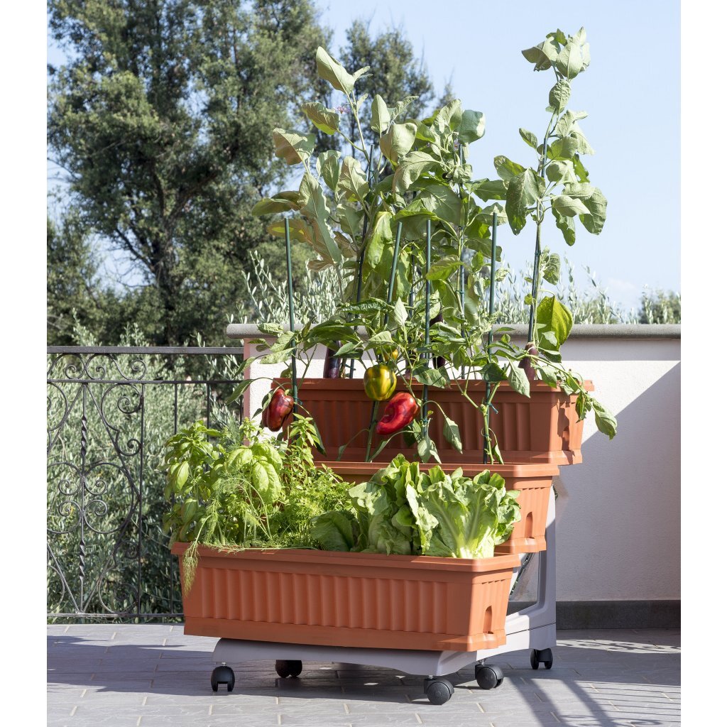 BAMA ORTO DI KIT PLARTERS 80x74x73 cm Terracotta