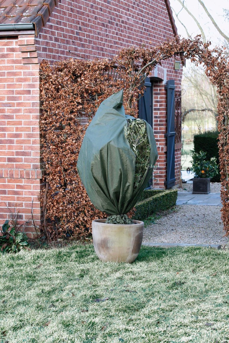 Nature Nature Winter Cover 70 g m² 2,5x3 m verde