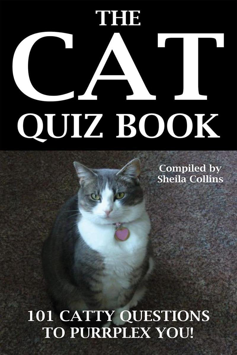 El libro de preguntas del gato