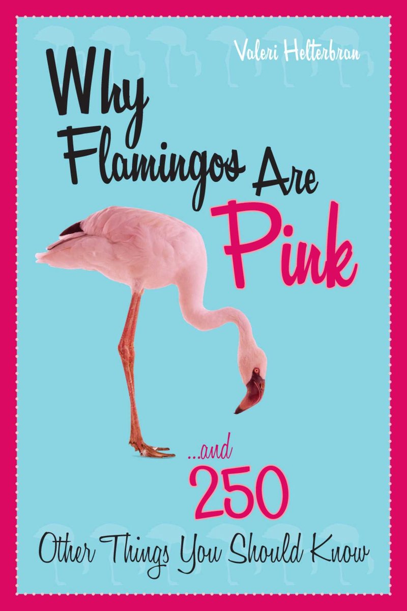 ¿Por qué los flamencos son rosados?