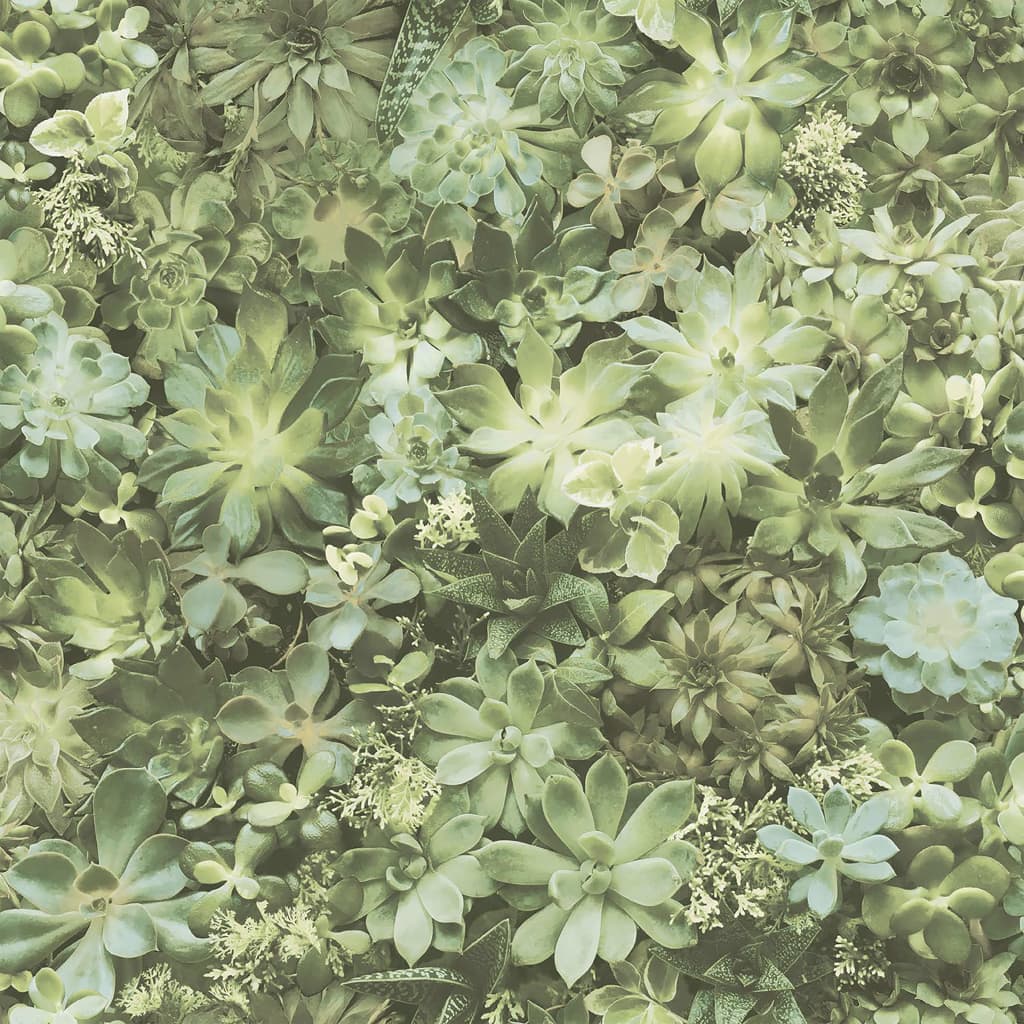 Noordwand Wallpaper Noordwand Wallpaper Evergreen Succulento Groen e Beige