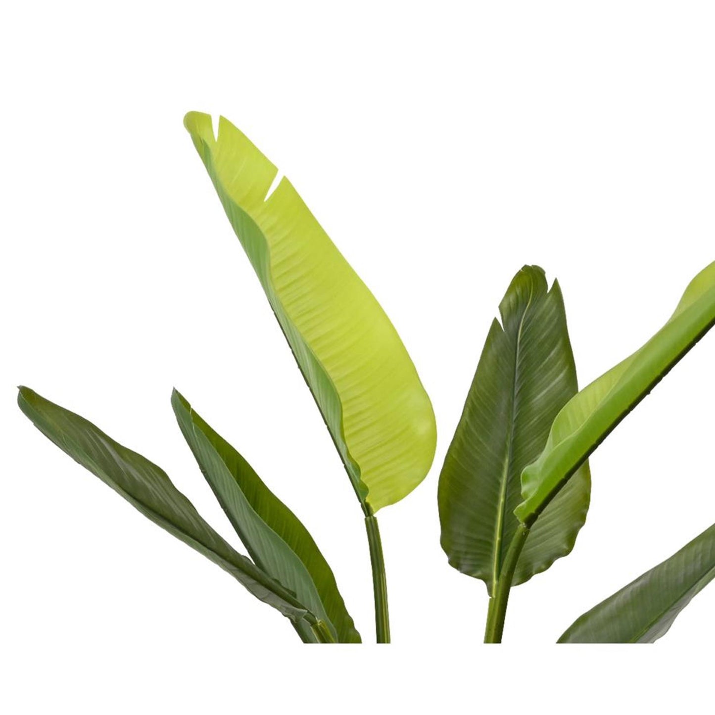 Decoris pianta artificiale strelitzia h90cm