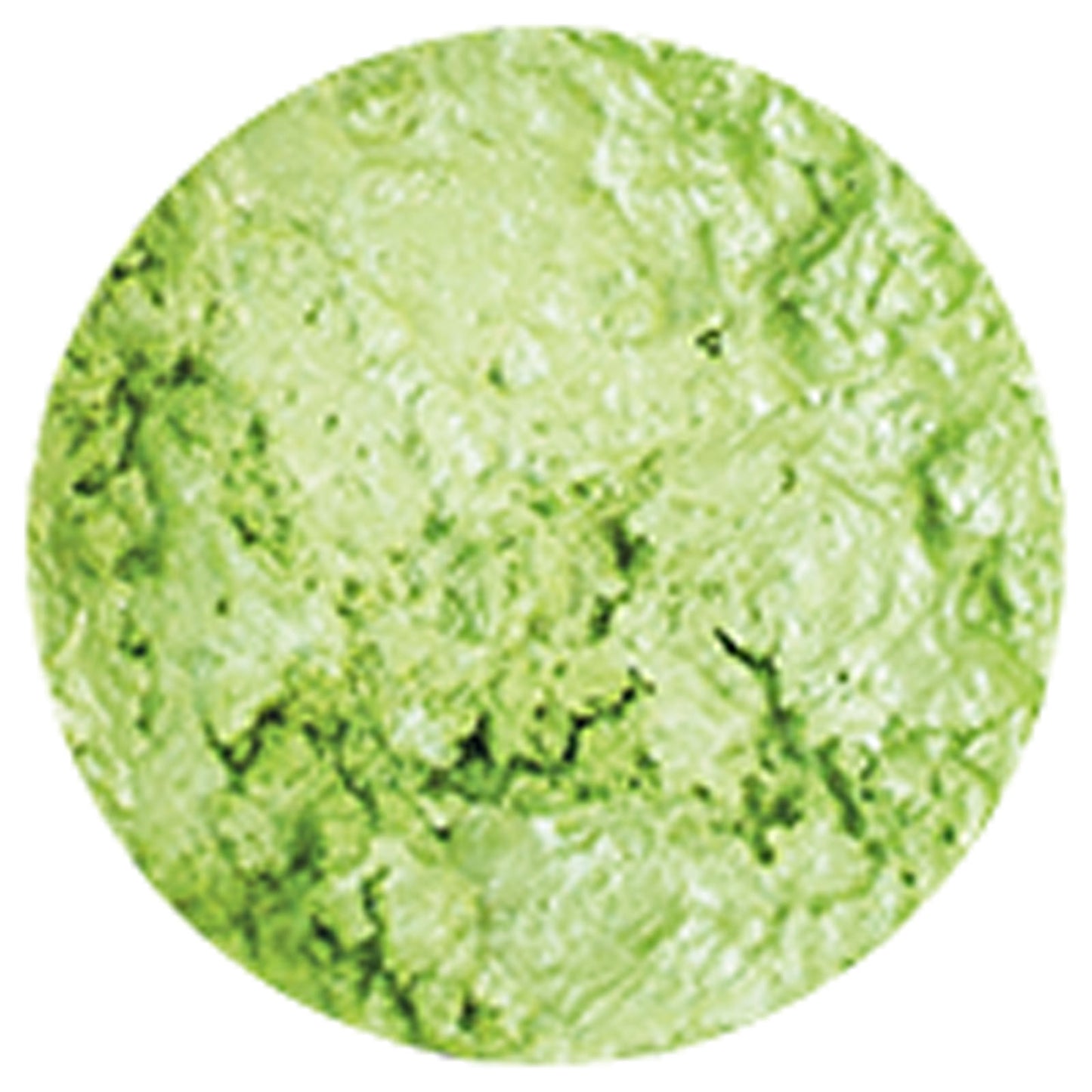 Nuvo di tonic studios nuvo • abbellimento mousse verde primavera