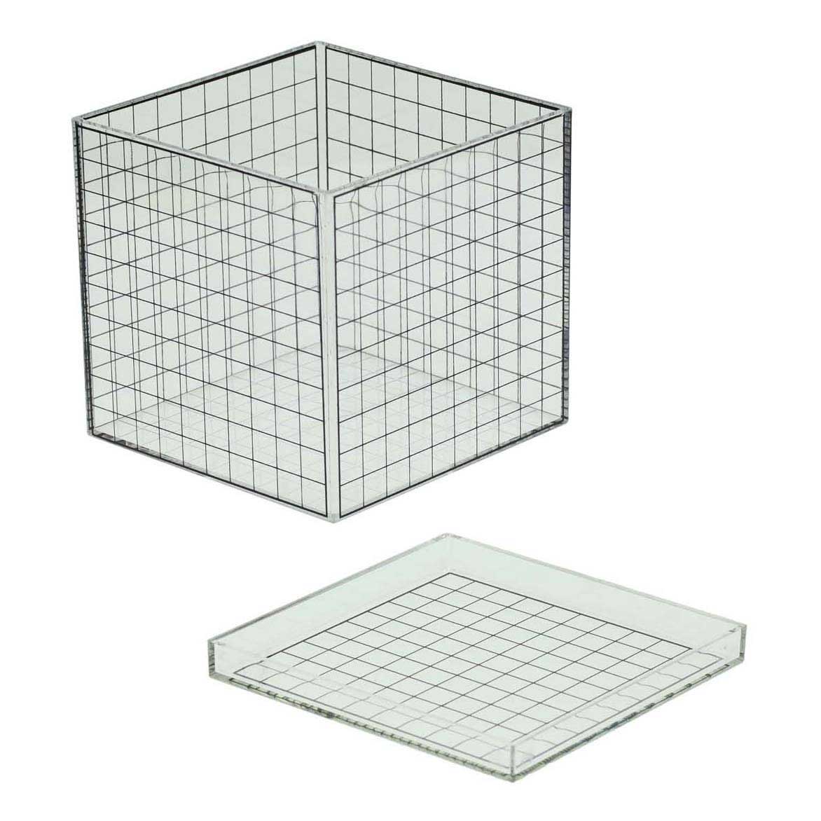 Cubo griglia 3D trasparente - 10x10x10 cm