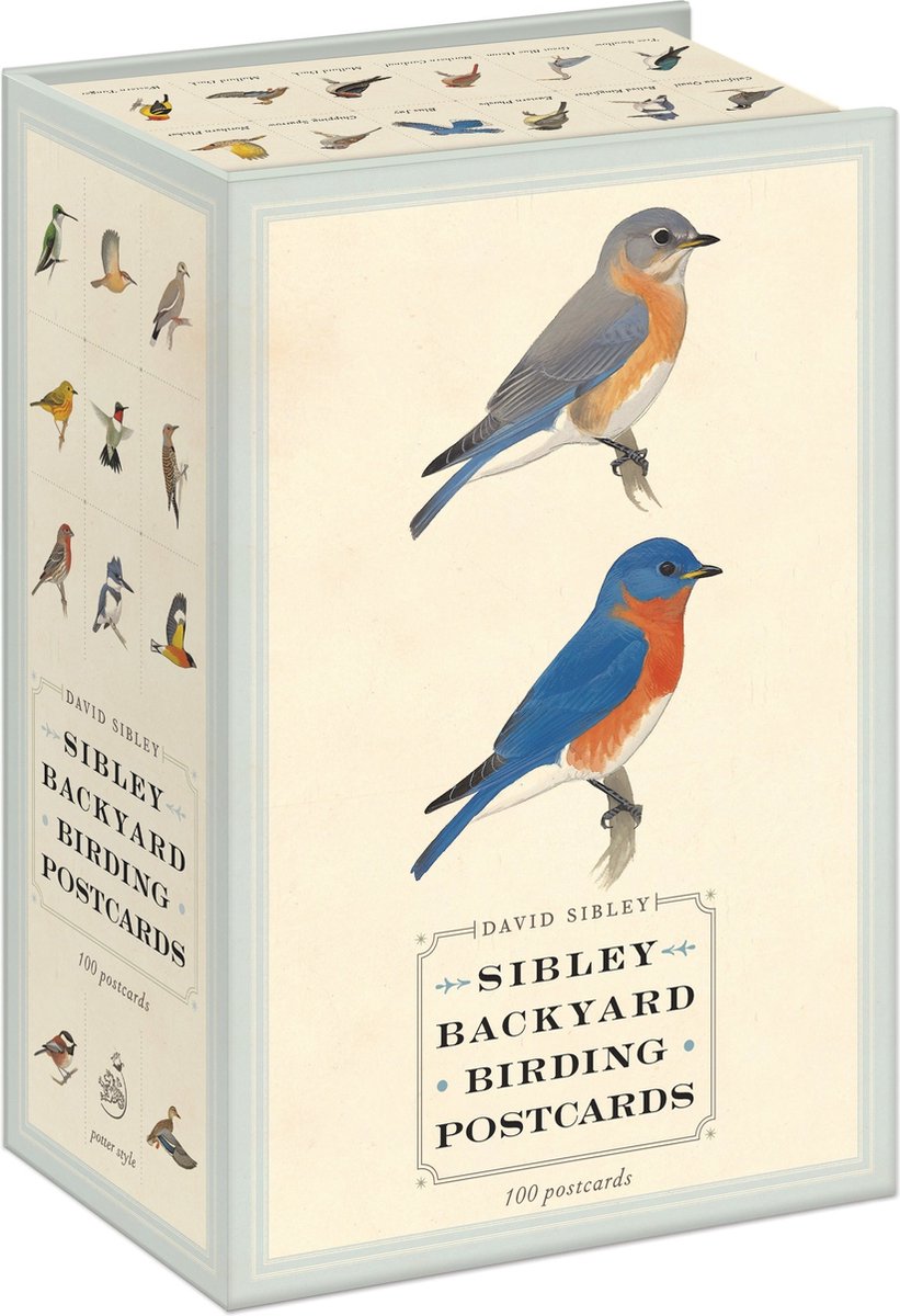 Cartoline di birdwatching nel cortile di Isbn Sibley