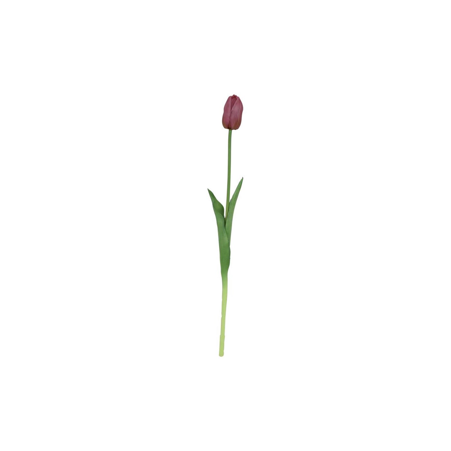 Tulipano artificiale Countryfield viola 10x10x47 cm