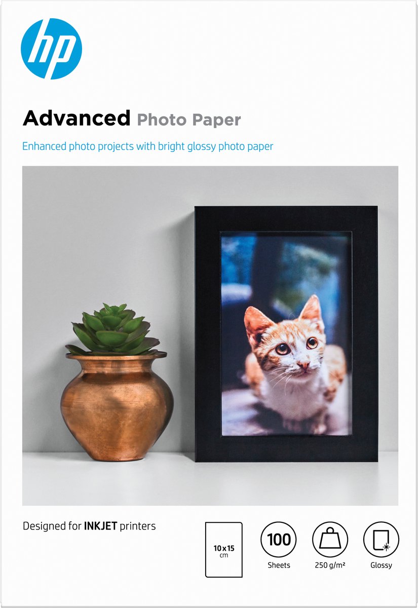 Hp fotopapier 250g - 10x15cm - 100 vellen