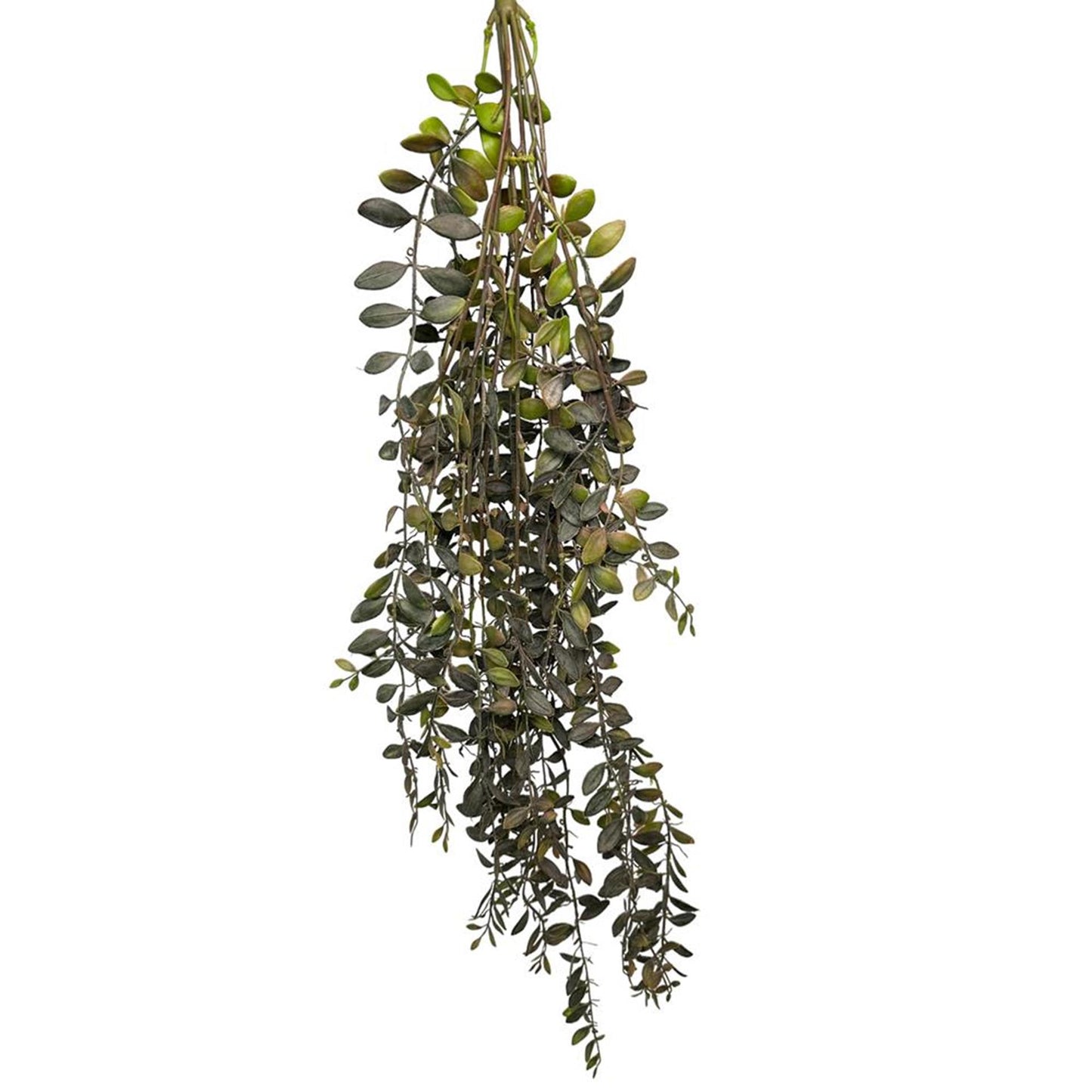 Roberts collection planta colgante artificial dischidia burdeos 100cm