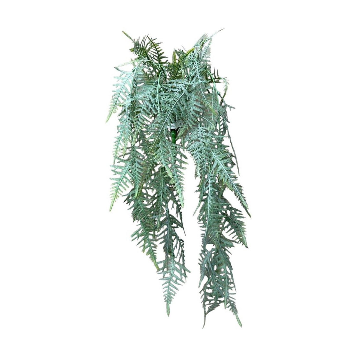 Colección Roberts arte planta colgante espárragos plumosus gris