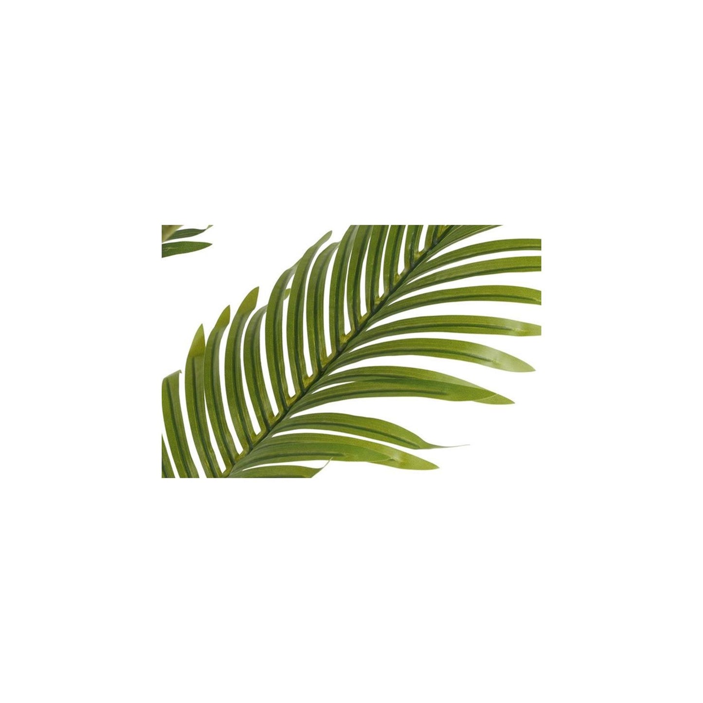 Pianta artificiale Countryfield kentia m verde l70w70h100cm