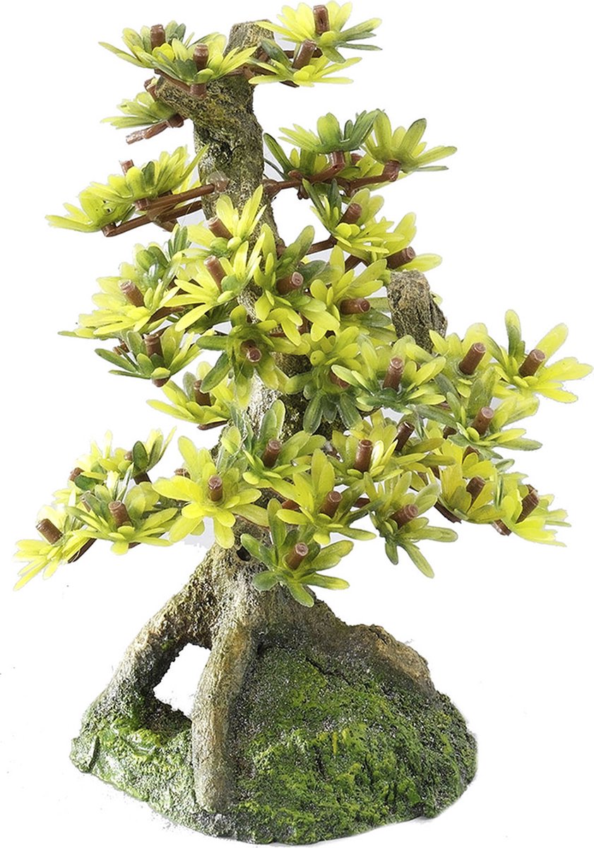 Aqua della Europet Bernina decoro bonsai 2 - acquario - ornamento - 15 cm