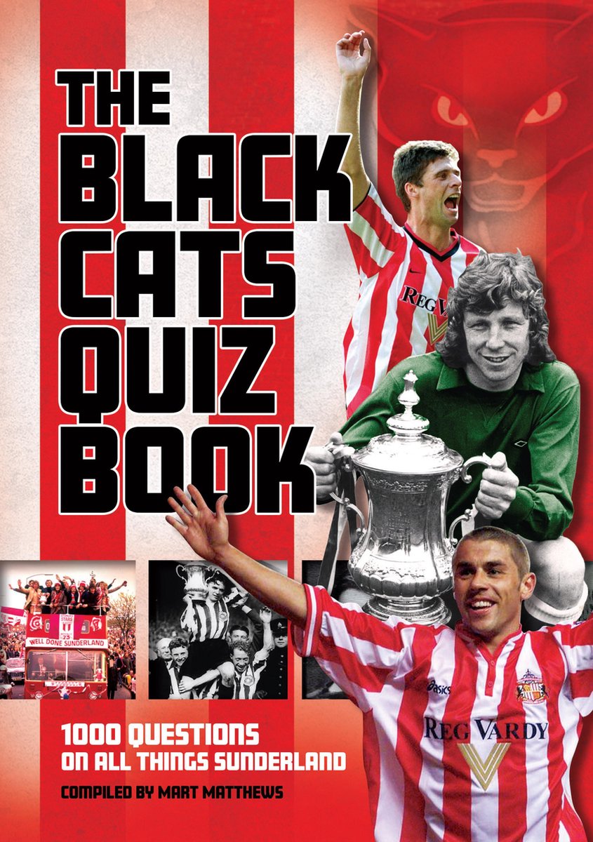 Il libro dei quiz sui gatti neri