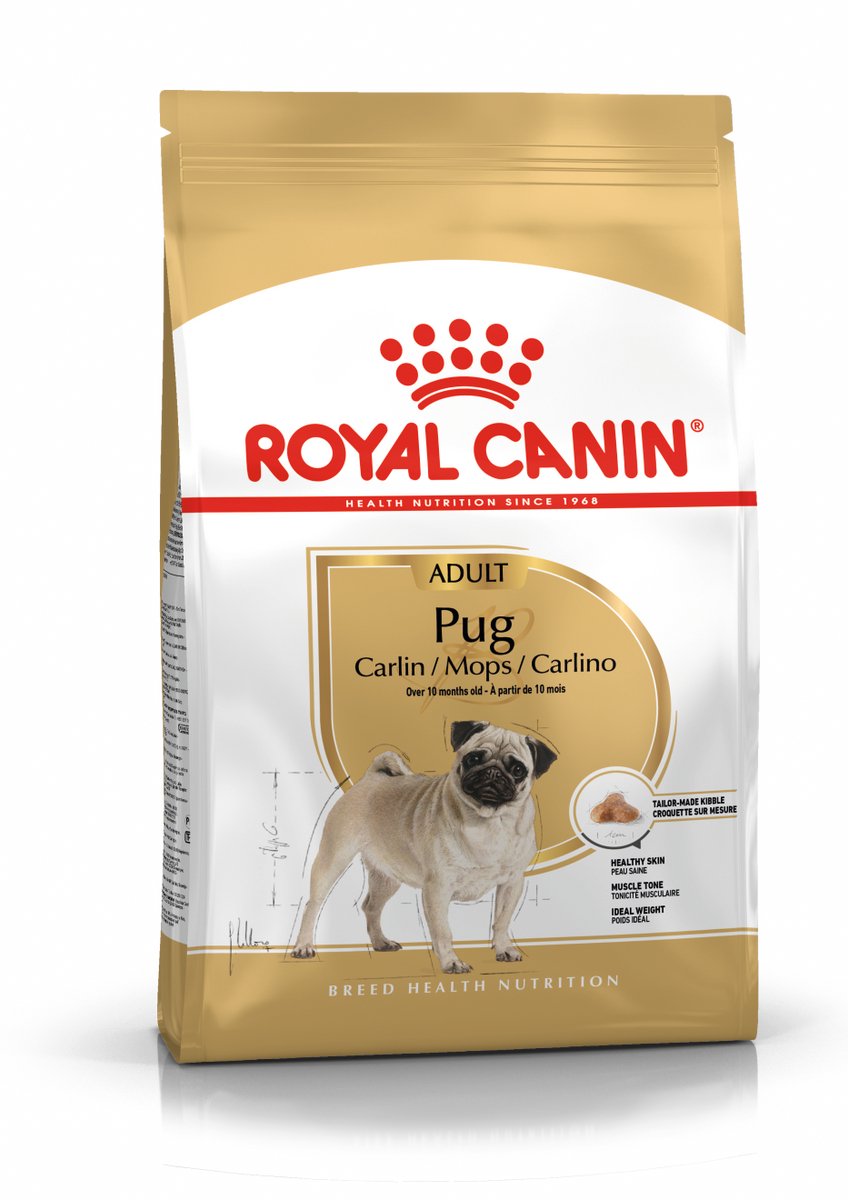canino real