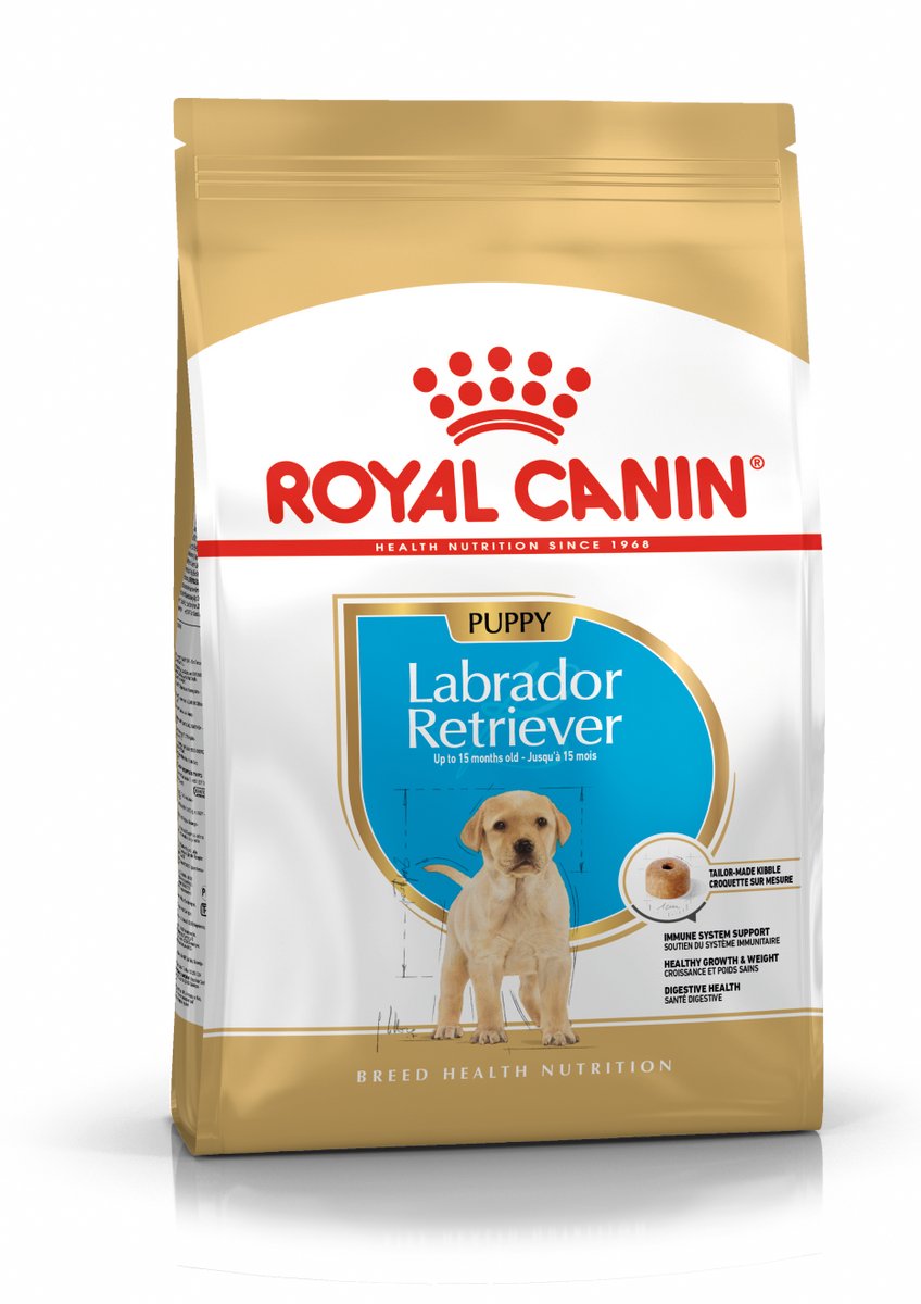 canino real